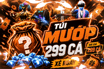 Acc TS PRIME 299K